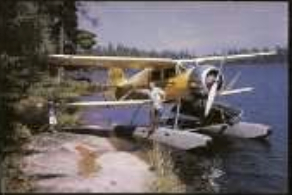 Buster Bird book photo