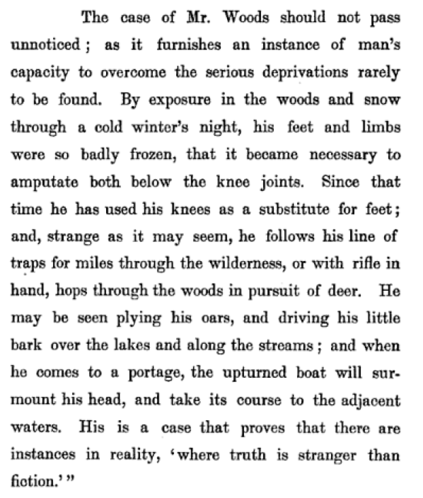David Read W Wood description