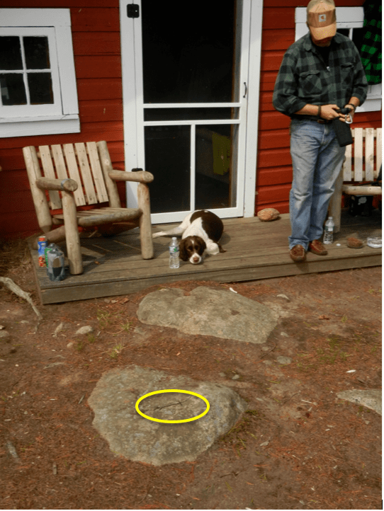 Screen Shot 2014-09-08 at 8.12.24 PM