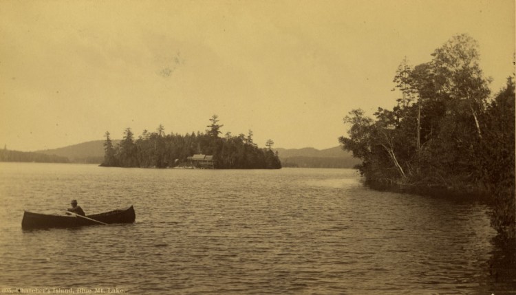 Thacher island lone pine