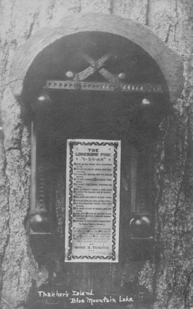 Thacher lonesome pine postcard