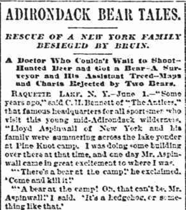 ADK bear tales 1